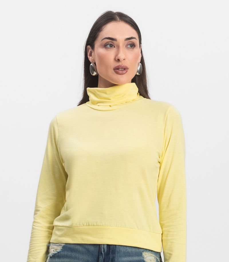 IC01455-2019-01