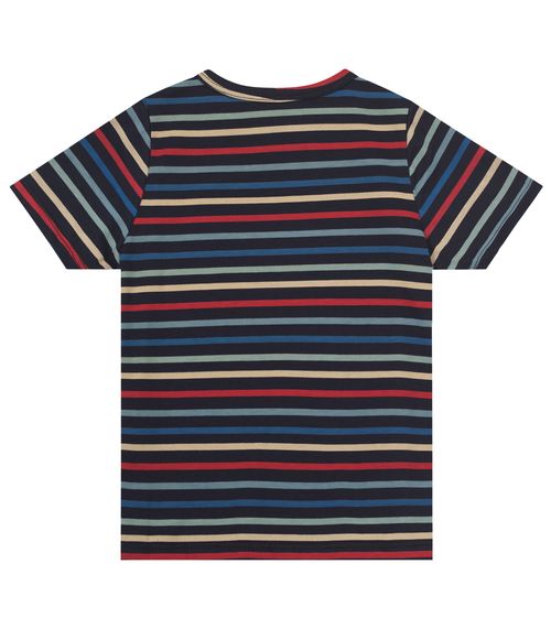 Camiseta Infantil Masculina Animais Infinita Cor Azul