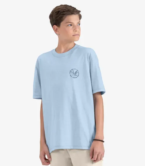 Camiseta Juvenil Masculina em Meia Malha Minty Azul