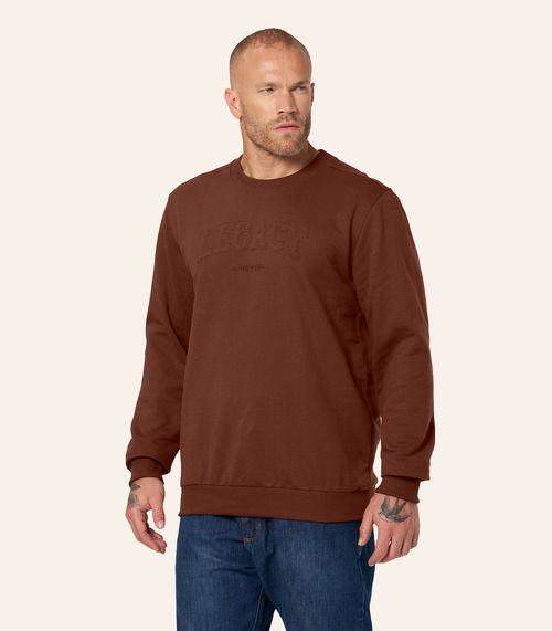 Blusão Masculino Moletom Felpado Bordado Diametro Marrom